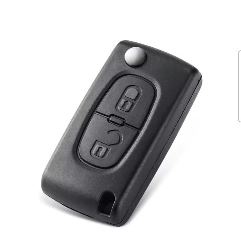 Coque de Clé Pour Peugeot 207 2 Bouton