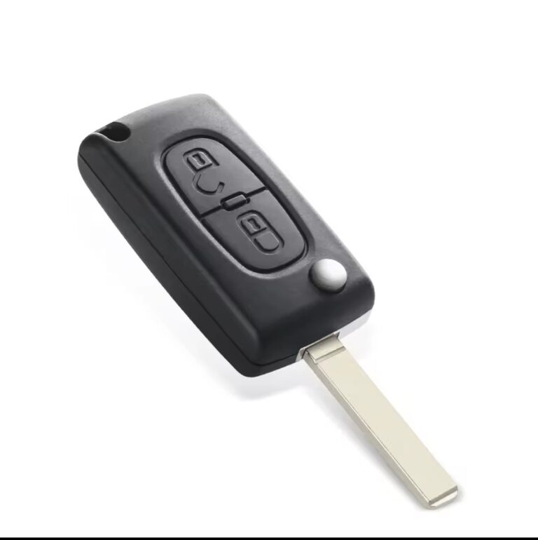 Coque de Clé Pour Peugeot 207 2 Bouton